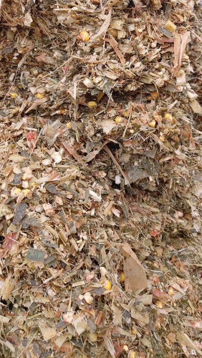 SILOS Donli   Донли  Силос 100%  (makka payani yaguarda ma