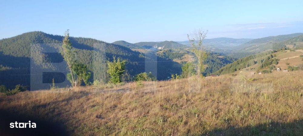 Teren intravilan, Sat Garda