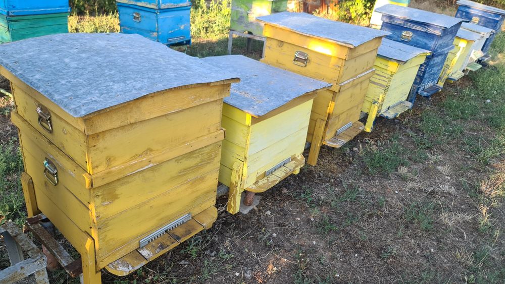 Кошери, сандъци за пчели