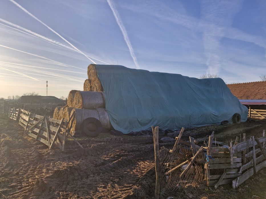 Vand baloți de paie neploați