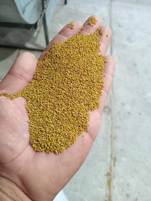 Samanta de lucernă, trifoi, iarbă  și borceag