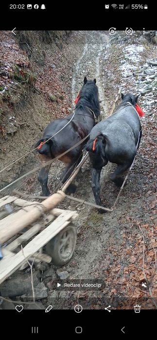 De vânzare ce se vede