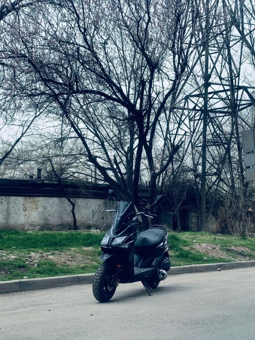 Самурай 2024 года