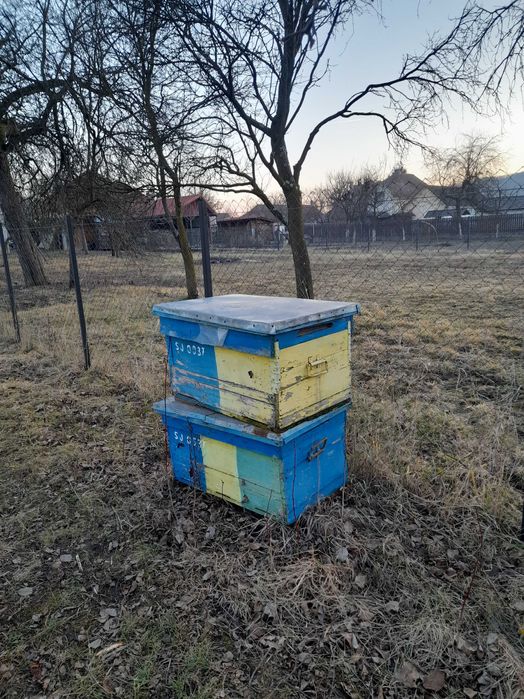 Lăzi stupi pentru albine - 100 lei/buc