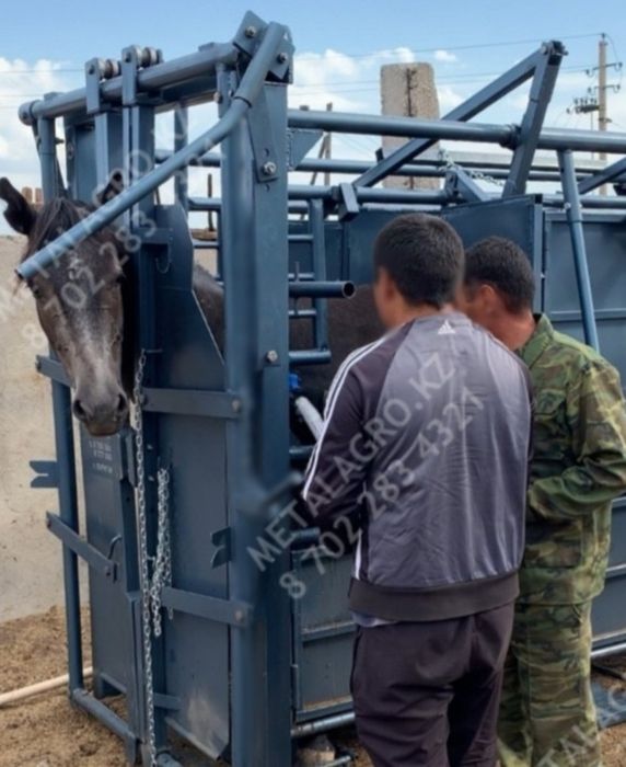 Раскол для скота КРС и лошадей