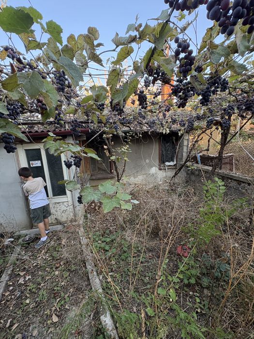 Продава се Къща в Смядово - 64 кв.м за 407 €/кв.м - Снимка #17