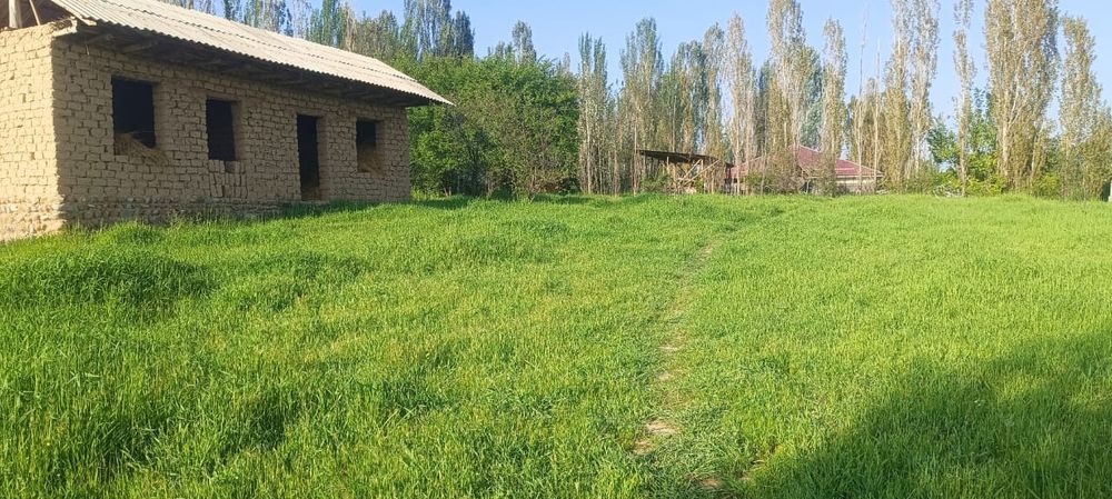 Uchastka Parkent tumani, Boston maxallasida srochna sotiladi