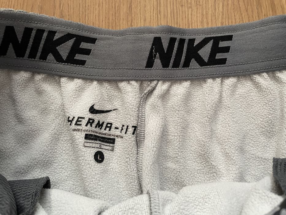 Nike Therma Fit Jogger Pants L