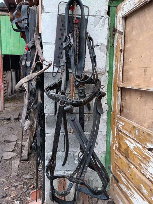 Vind sau schimb  cu animale căruță bună și ham