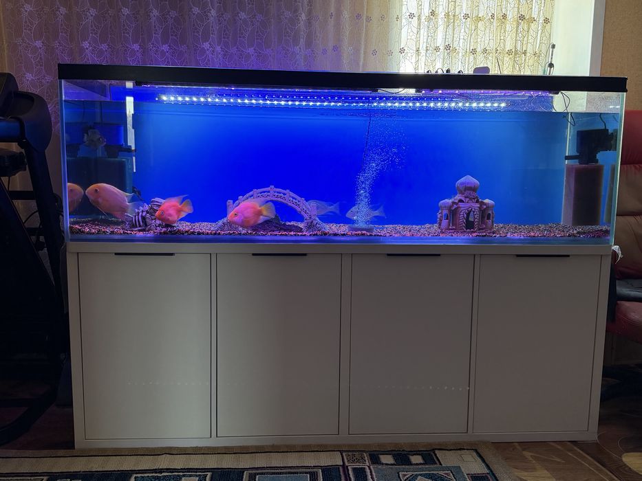 Аквариум на 500 литров
