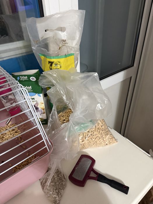 Продам декоративный кролик