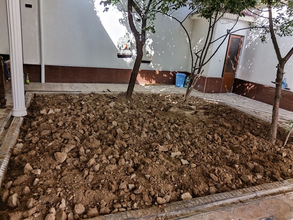 urug' sepish gazon yotqizish va uni parvarish qilish