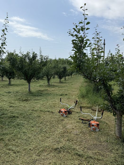 Curatam sau defrisam  terenuri