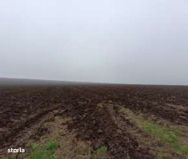 Teren extravilna Limanu, ID: R2969006