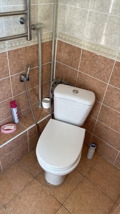 Унитаз в туалет, рабочий