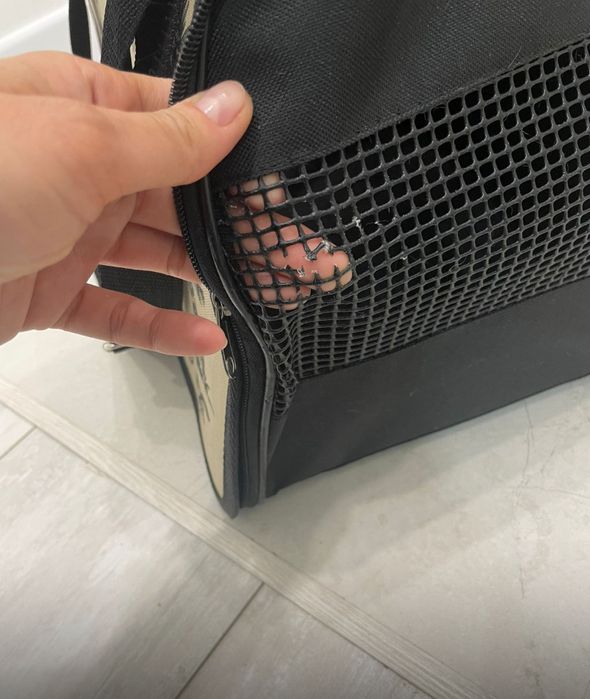 Продам переноску для кота