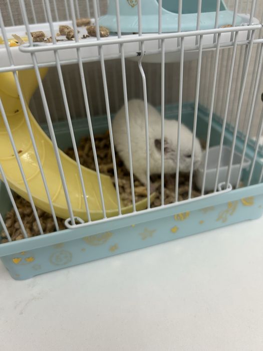 Продам клетку для хомяка