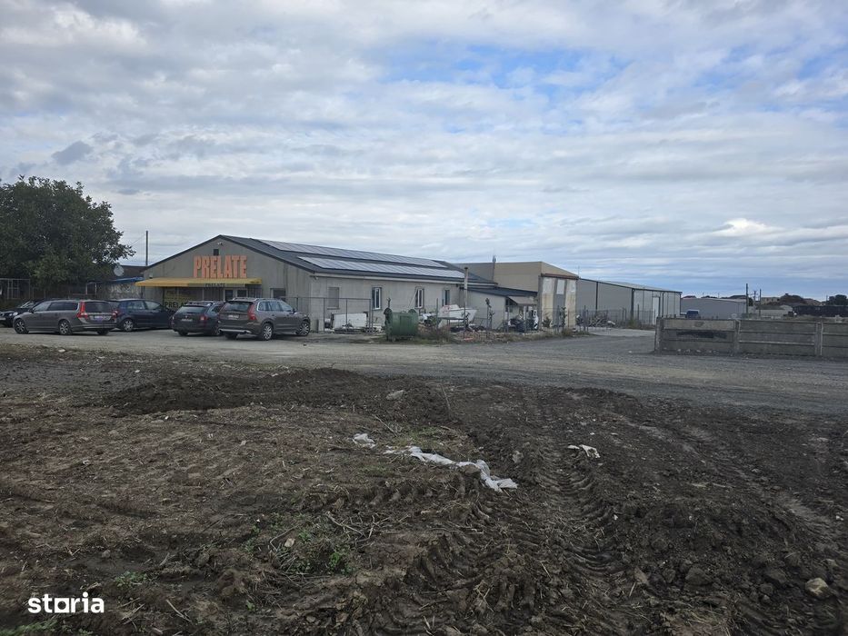 Teren de vanzare in Ovidiu