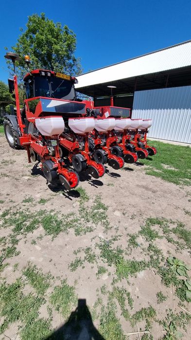 Semanatoare prasitoare  maschio/mascar  maxi 5