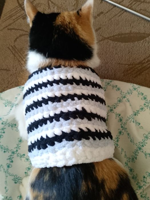 Продам вязаный свитер для кошки