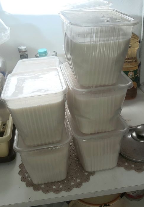 Бараний жир. Қойдын майы