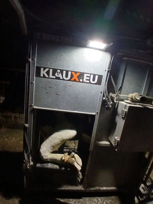 Curatire ongloane bovine