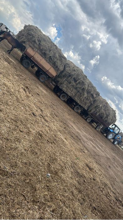 Трактор МТЗ 952.2