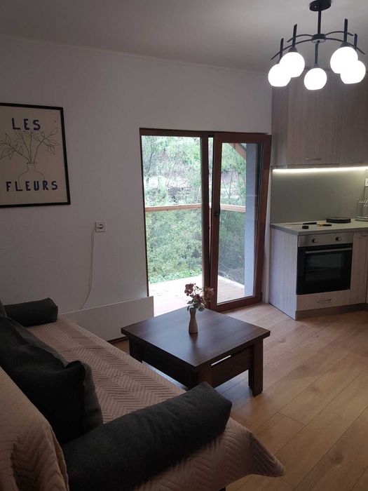 Нощувки в Девин, апартамент