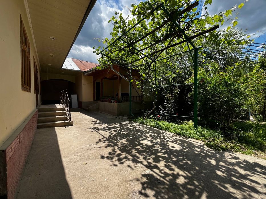 Dacha 15 kishilik