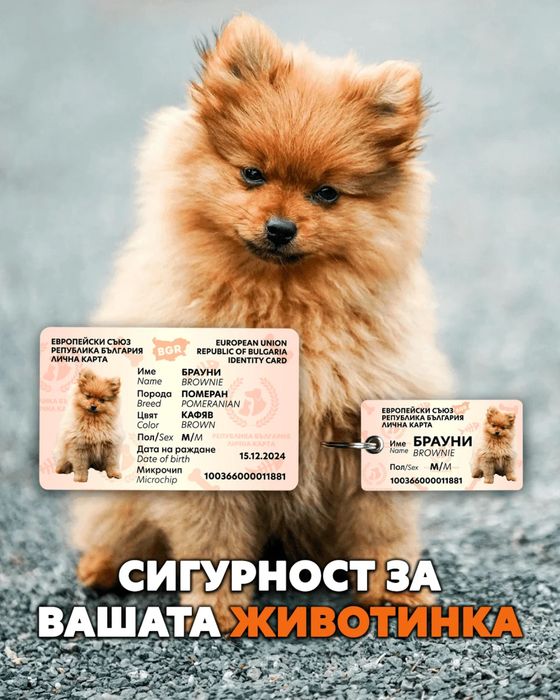 Карта за вашият домашен любимец