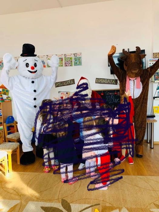 Costum Ren - Craciun