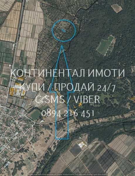 коддд 63118. Орехи 550м2 сред голям орехов масив