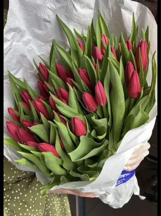 Тюльпаны на 8 марта