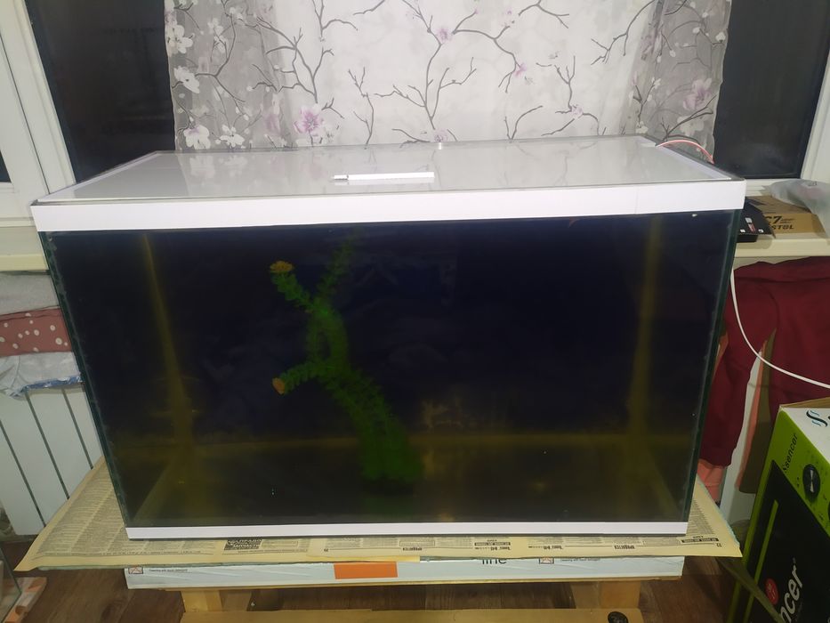 Аквариум 141л + фильтр и рыбки.