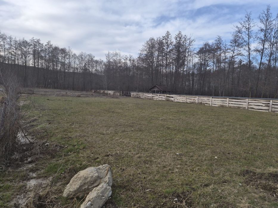 Teren 2.000 mp în Săpânța, Maramureș – între două brațe ale râului, id
