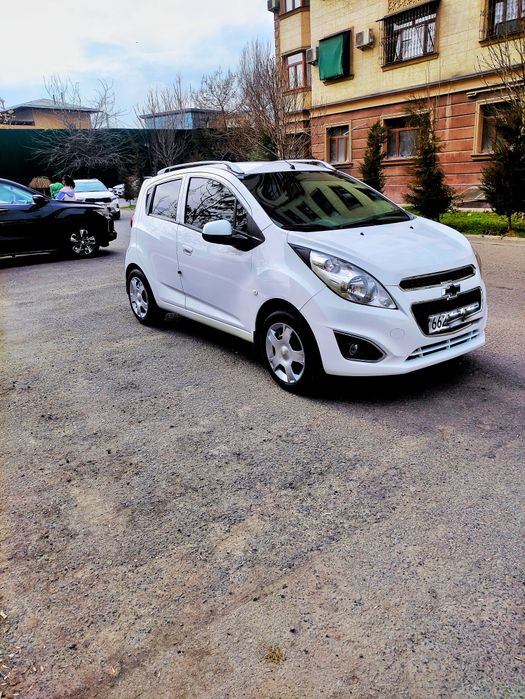 Spark Спарк 3 pazitsa