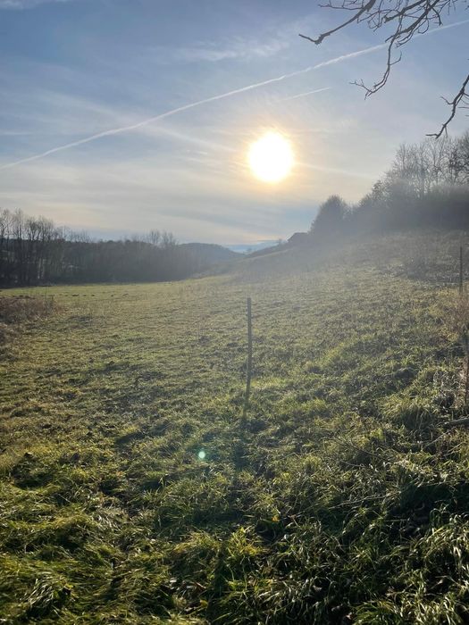 Vând teren 4200 mp ideal pt casa de vacanta  în Varciorog