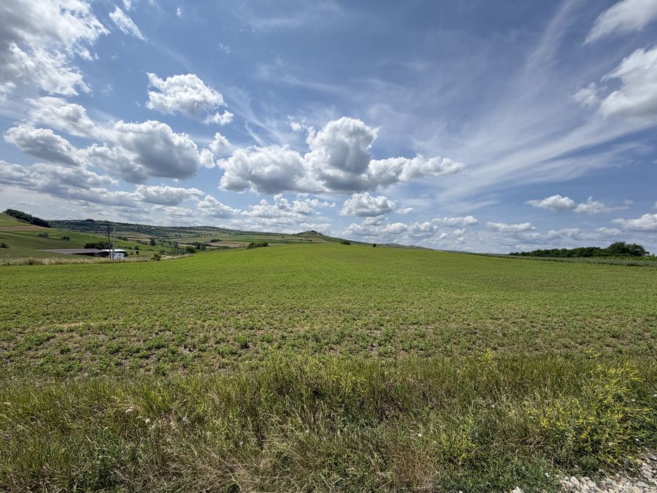 Teren extravilan 18.200 mp (1,82 ha) cu deschidere mare la asfalt