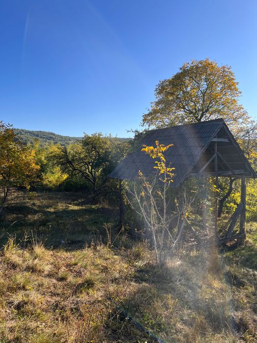Livada 1 ha - zona de vis aproape de intravilan