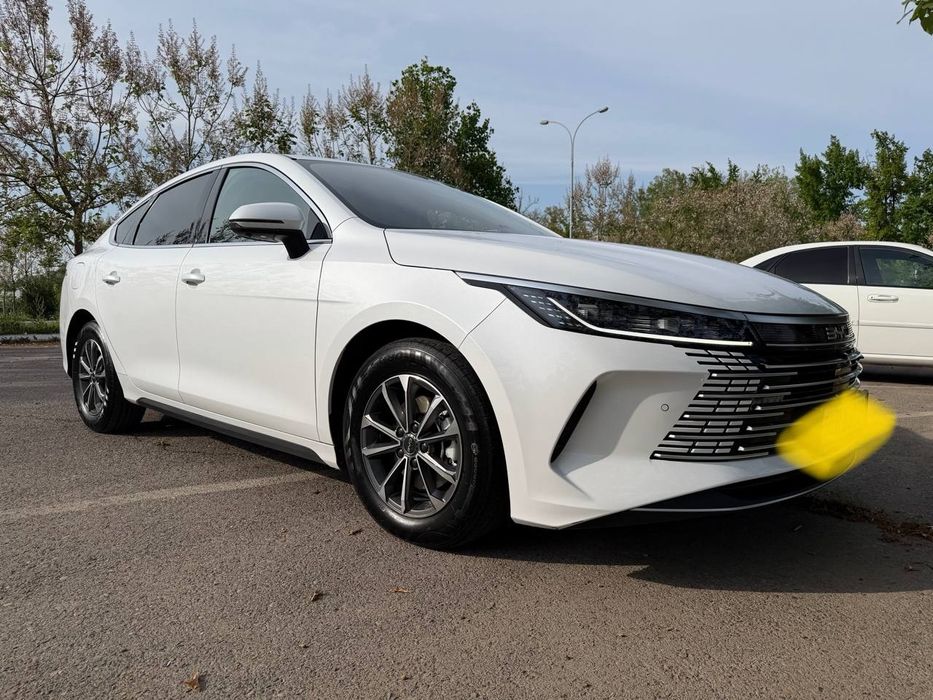 Other Chazor 2024 — 2