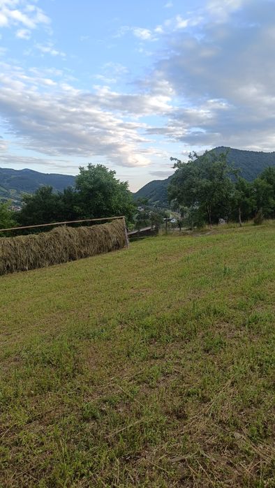 Teren intravilan cu casă veche și anexă de vânzare