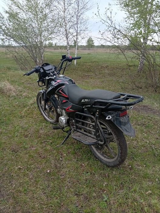 Альфа чамп 125 куб