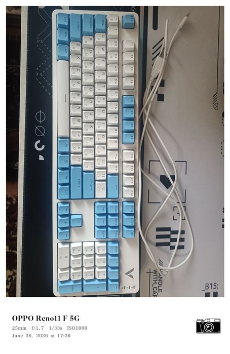 Mexanik klaviatura, Rapoo V500pro