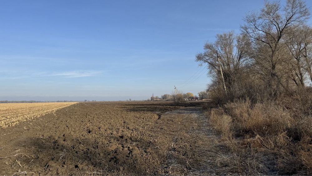 Продам крестьянское хозяйство