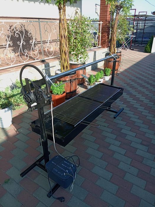 Rotisor proțap electric