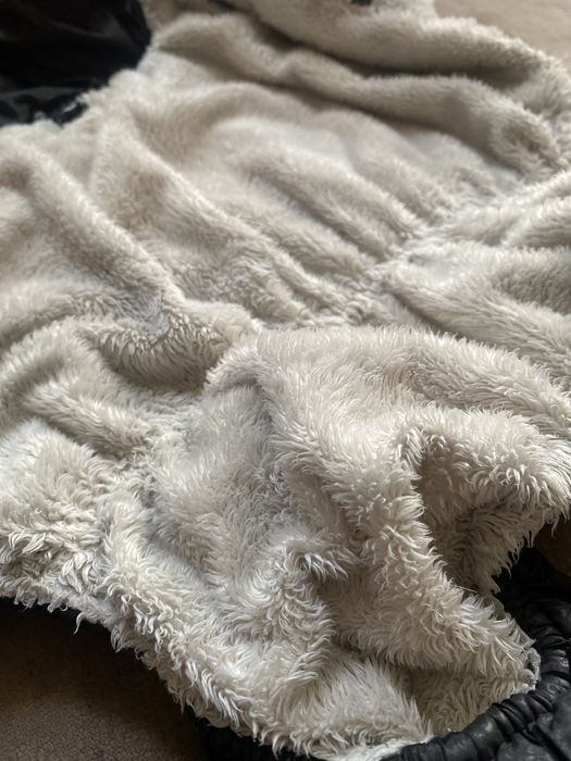 Одежда для собак