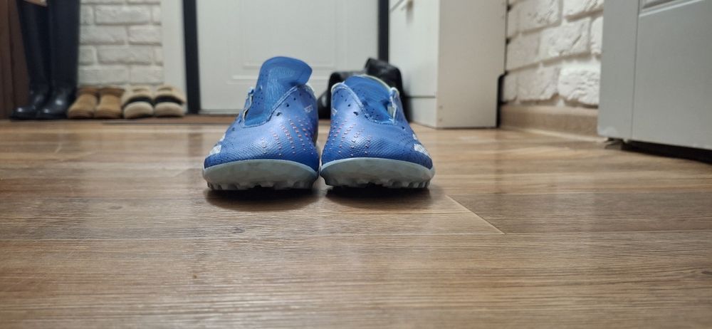 Сараканошки адидас придатор