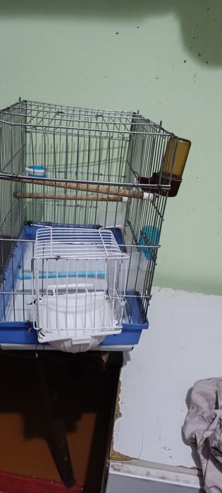 Клетка сотилади закони 2 та