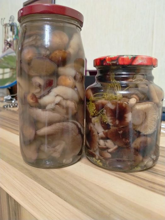 Продам грибы маринованные