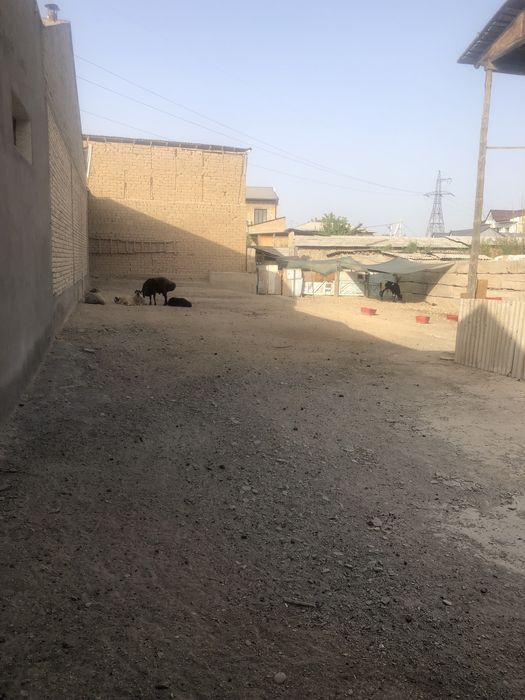 Земля в продажу с кадастром